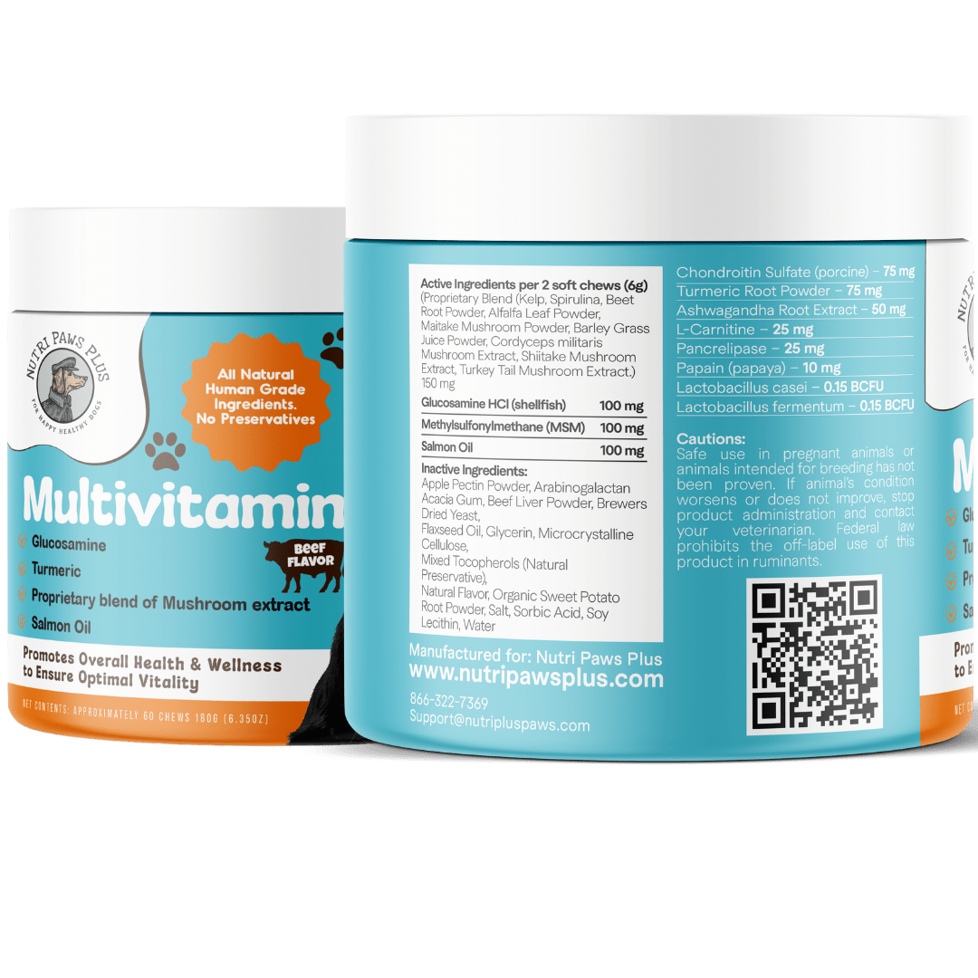 Whole-Body Wellness Stack