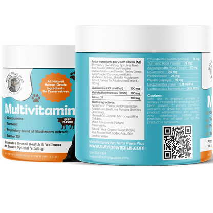 Whole-Body Wellness Stack